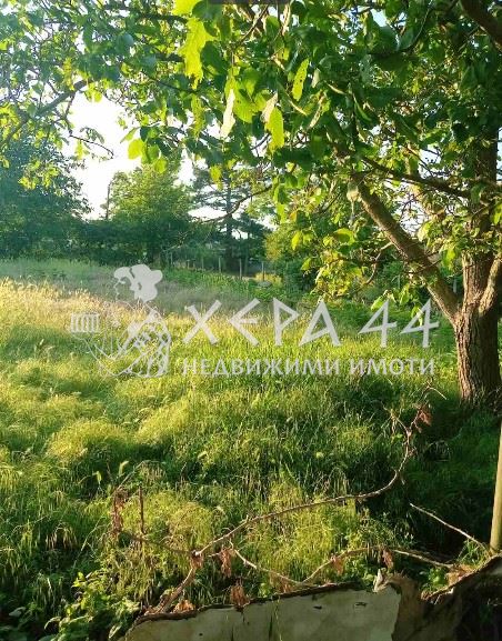 Парцел в с. Аврен-0