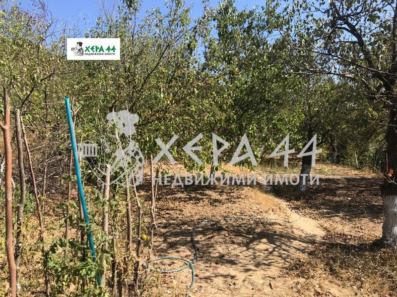 Вила - Варна, област, с.Куманово-0
