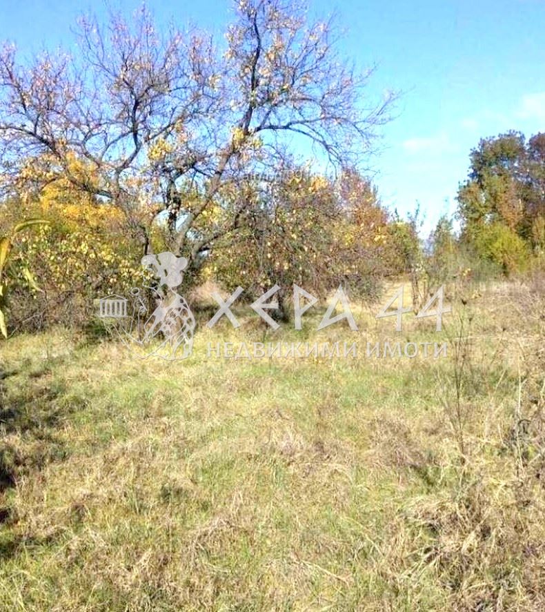 Парцел в с.Манастир - 0