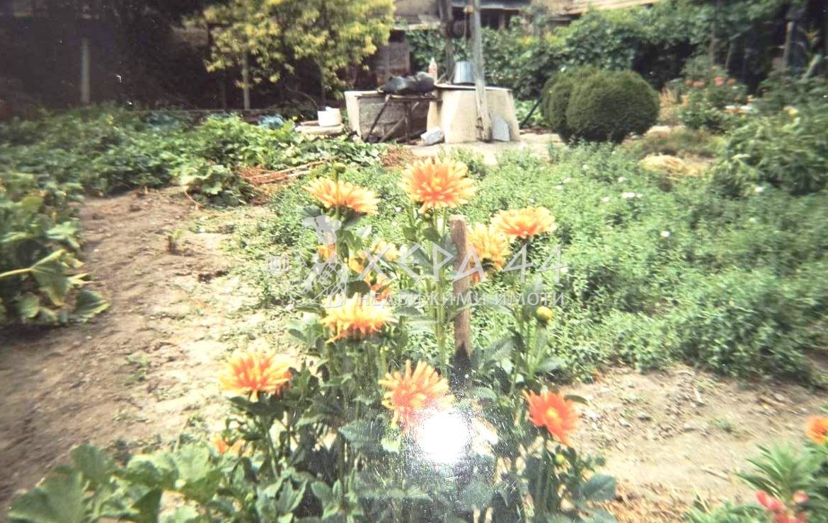 Къща в с. Невша - 0