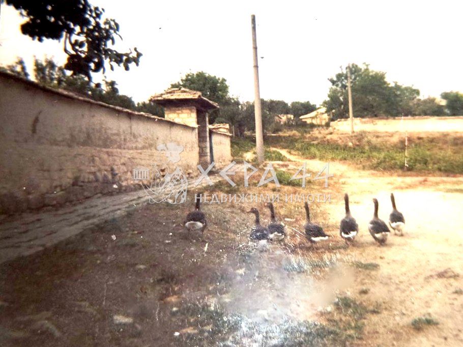 Къща в с. Невша - 0